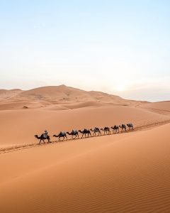 Sa mạc: Maroc